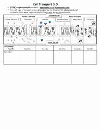 Active Transport Coloring Endocytosis And Exocytosis Beautiful Go Cell Transport Pdf Biology Lessons Teaching Biology Cell Theory