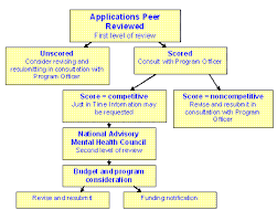 Nimh Step 4 Your Application Has Been Peer Reviewed Now