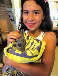 Mogwai was one of 3,602 animals adopted