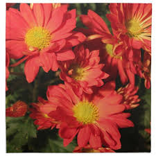 Maybe you would like to learn more about one of these? Golden Orange Color Daisy Flowers Napkin Zazzle Com Daisy Flower Flowers Postcard