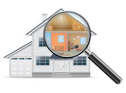 Scratching noises in your attic? Lt Home Inspections Blue Line Pest Police