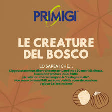 Maybe you would like to learn more about one of these? Le Castagne Matte Primigi