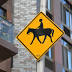 Visiting New York City's last horse stables