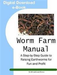 How To Care For Your Earthworms - Earthworm Works