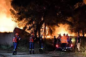 Διαβαστε περισσοτερα νίκος χαρδαλιάς κόρινθος φωτιά πυρκαγιά φωτια στο σχινο κορινθία υφυπουργός πολιτικής προστασίας ελαιώνας Fwtia Sto Sxino Korin8ias Kalyterh H Eikona Omws Synexizei Na Einai Mia Dyskolh Pyrkagia Ellada Thepressroom Gr