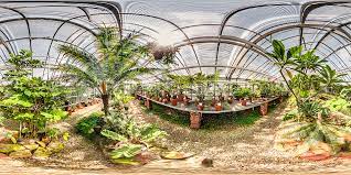 Abwechslungsreicher botanischer garten, riesige sammlung di botanischer garten mainz. Botanischen Garten Mainz Cycadeenhaus Botanischer Garten