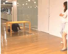 Image result for tbn:gdzYG_E_puQPHM::jp59.j.p.pic.centerblog.net/w9cu94mh.gif