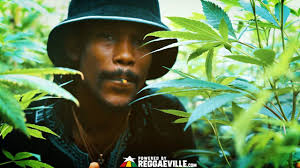 15 Great Reggae Albums of 2020