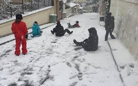 Snow In Florida!' 44 Years Ago The Sunshine State Experienced The White  Stuff – Orlando Sentinel