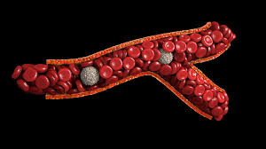 Small Branching Vessel With Erythrocytes And Leukocytes 3d Model Ad Vessel Branching Small Model Aesthetic Template Vessel 3d Model