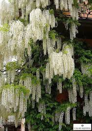 Pin On Outdoor Nature Jardim Natureza