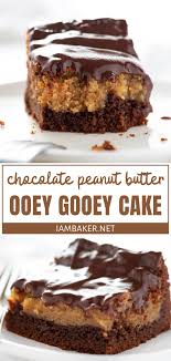 Chocolate Peanut Butter Ooey Gooey Cake In 2020 Dessert Recipes Easy Chocolate Dessert Recipes Peanut Butter Recipes