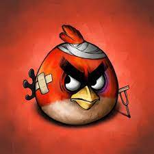 lori luttrell adli kullanicinin design panosundaki pin kus illustrasyon angry birds kus