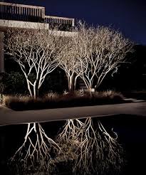 Residential Landscape And Outdoor Lighting Systems Residentiallandscape Poollightingideas Landscape Lighting Design Landscape Lighting Outdoor Lighting