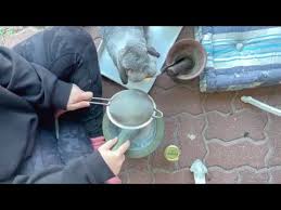 Sourcing and Foraging Natural Pigments