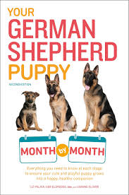 We are excited to raise shilohs because they make won… Your German Shepherd Puppy Month By Month 2nd Edition Everything You Need To Know At Each State To Ensure Your Cute And Playful Puppy Your Puppy Month By Month Palika Liz Albert