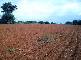 Resultado de imagem para parábola do semeador