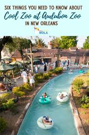 Six Things You Need To Know About Cool Zoo At Audubon Zoo Pint Sized Nola Louisiana Vacation New Orleans Vacation Audubon Zoo