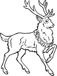 Alle adressen und kontakte zu den standorten der rudolph logistik gruppe finden sie hier. Fensterbilder Weihnachten Renntier Malvorlage Coloring And Malvorlagan
