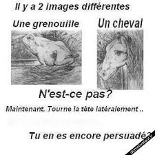 Epingle Par Jennyfer C Sur So True Humoristique Enigme Drole Humour Drole