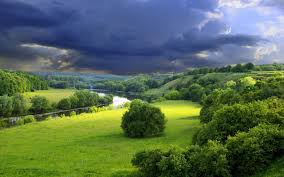 Landscape Green #7014251