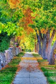 Autumn Sidewalk Photoshop Backgrounds Studio Background Images Background Images
