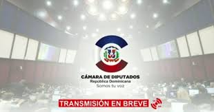 Ante diputados, el ministro arroyo apoyó un proyecto para abordar la problemática de personas en situación de la iniciativa promovida por el presidente de la cámara de diputados, sergio massa, fue respaldada con 241 votos afirmativos, 0 negativos y. En Vivo Camara De Diputados Republica Dominicana