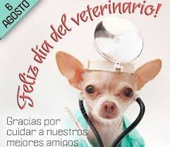 Check spelling or type a new query. 15 Ideas De Vet Feliz Dia Feliz Dia Del Trabajo Dia Del Veterinario