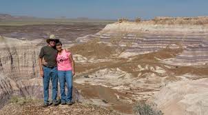 We did not find results for: Blue Mesa Trail Lavender Beauty In Petrified Forest National Park Roads Less Traveled