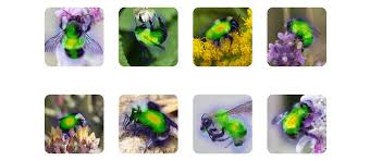 Automation with machine learning