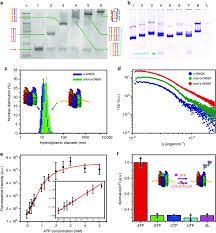 And, like all controls, missing out is a big mistake. One Pot Dna Nanogatekeeper Assembly In Solution And Atp Response A Download Scientific Diagram