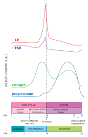 34 Detailed Follicle Stimulating Hormone Levels Chart Male