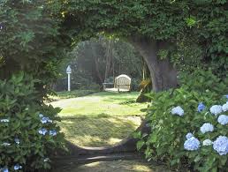 Pin On Through The Garden Gate