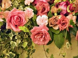 We did not find results for: Flowers Beautiful Wallpaper Download 1600x1200 Wallpaper Teahub Io