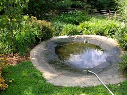 Maybe you would like to learn more about one of these? Our New Turtle Pond