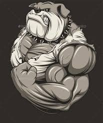 Angry Dog Bodybuilder Angry Dog Cartoon Art Pitbull Art