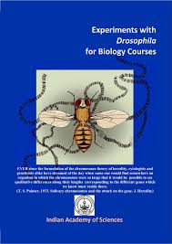 Check spelling or type a new query. Https Bdsc Indiana Edu Pdf Experiments With Drosophila For Biology Courses Pdf