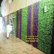 عشب صناعي نجران عشب طبيعي عشب طبيعي الدمام عشب طبيعي بالرياض عشب طبيعي جده عشب طبيعي سعر المتر عشب طبيعي للبيع عشب طب instagram photo instagram photo and video