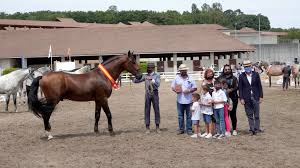 Termina la VI Edición de Equina Galicia con un rotundo éxito