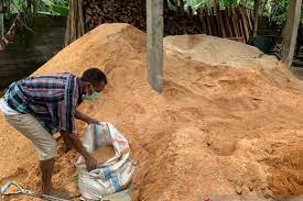 Kondisi transmigran kaltara, kalimantan bertahan hidup di tengah lahan просмотров 26 тыс.год назад. Holtikultura Kaltara Nagari Panyalaian Sangat Bagus Untuk Ditanami Holtikultura Relasipublik Com Blog Holtikultura Adalah Blog Yang Ingin Berbagi Tentang Budidaya Manfaat Dan Khasiat Tanaman Holtikultura