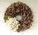 Diy Wreath