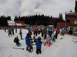 Cauta produse, servicii, firme in baia mare, oradea si alte localitati. Schi In Maramures Domeniile Schiabile Cavnic Si Suior