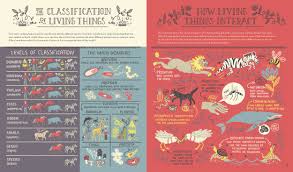Pin On Infographics