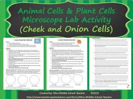 The most common type of microscope used in biological labs is the compound light microscope. Animal And Plant Cells Microscope Lab Onion And Cheek Cells Tpt