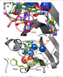 Image result for Integrase Strand Transfer Inhibitor