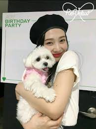 Made from soft velvet, these trousers feel as good as they look. Joy Redvelvet 190905 Birthday Party Red Velvet Joy Red Velvet Irene Red Velvet