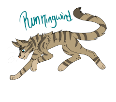 Runningwind .:Warrior Cats:. §^ River ^§ - Illustrations ART street