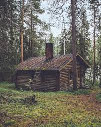 Proof Eyewear On Instagram Question Would You Rather Live In A Cabin Lost In The Woods Or A Beachside Shack On A Cabins In The Woods Old Cabins Little Cabin