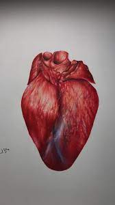 رسم قلب draw heart artist painting art