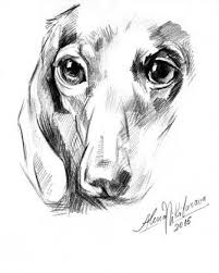 Black And White Dachshund Drawing Dog Dachshund Portrait Instant Download Printable Artwork Black And White Art Digital Jpeg File Dachshund Art Dachshund Drawing Dachshund Sketch